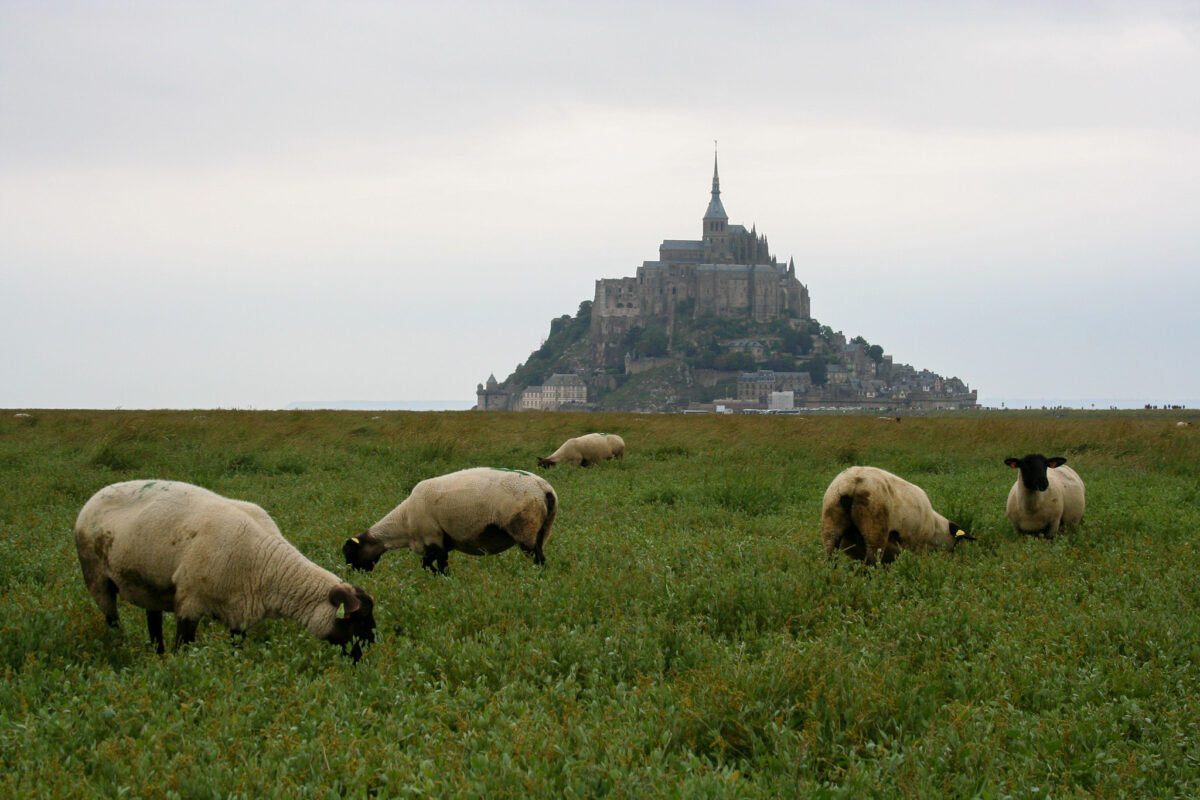 The Enchanting Tides of Mont-Saint-Michel